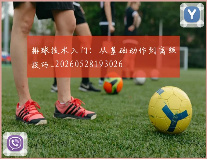 排球技术入门：从基础动作到高级技巧_20260528193026
