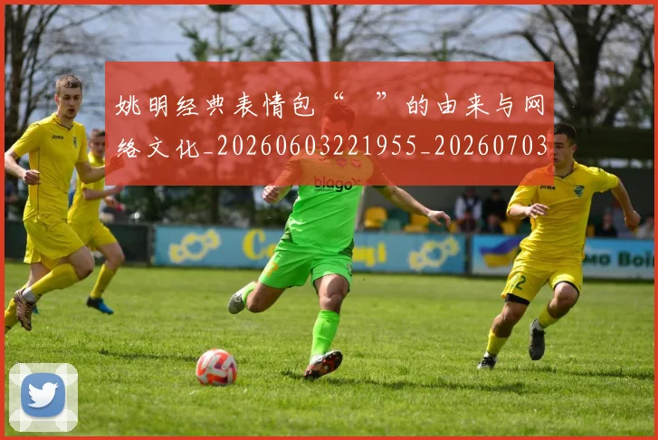 姚明经典表情包“囧”的由来与网络文化_20260603221955_20260703232959