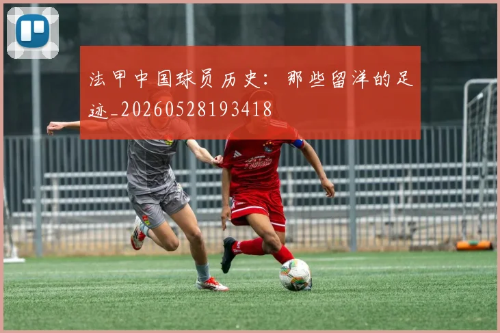 法甲中国球员历史:那些留洋的足迹_20260528193418